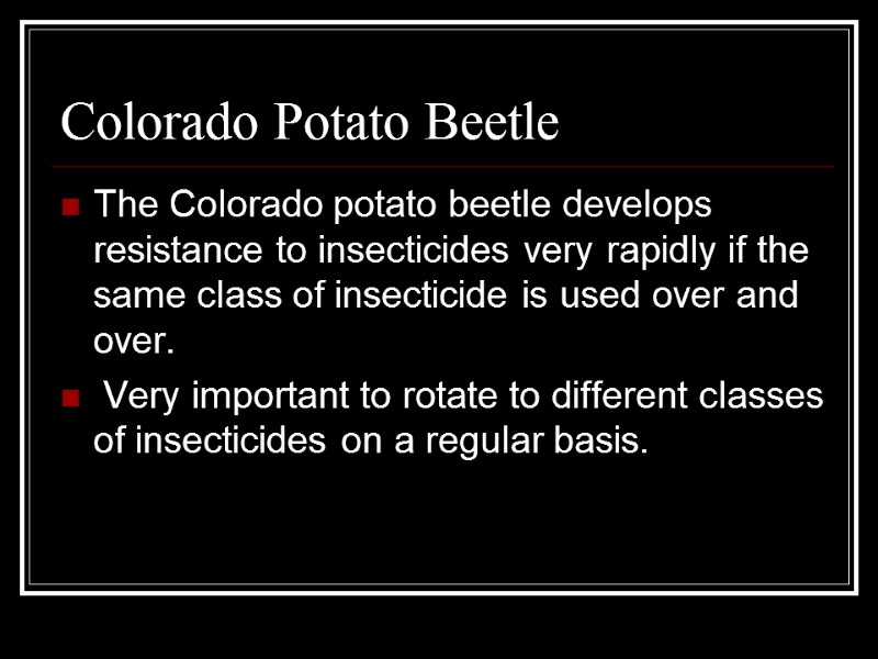 Colorado Potato Beetle The Colorado potato beetle develops resistance to insecticides very rapidly if